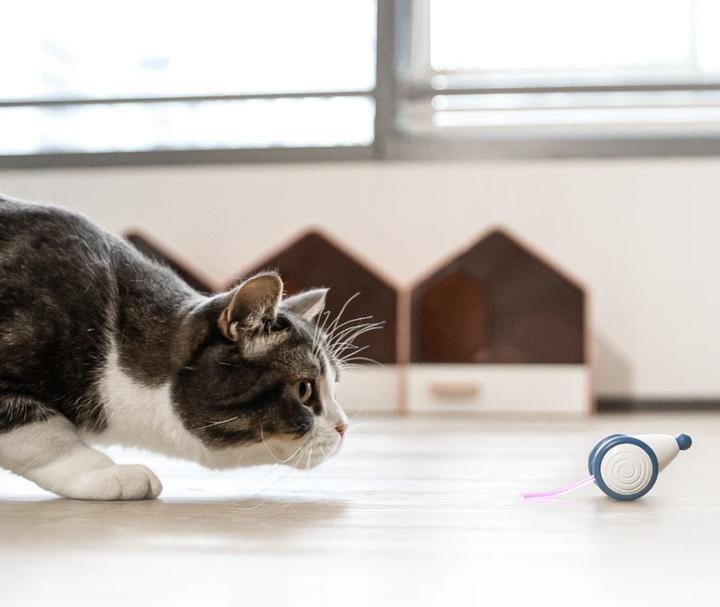 Actual product image Cheerble Wicked Mouse Interactive Cat Toy (Play mouse cat)