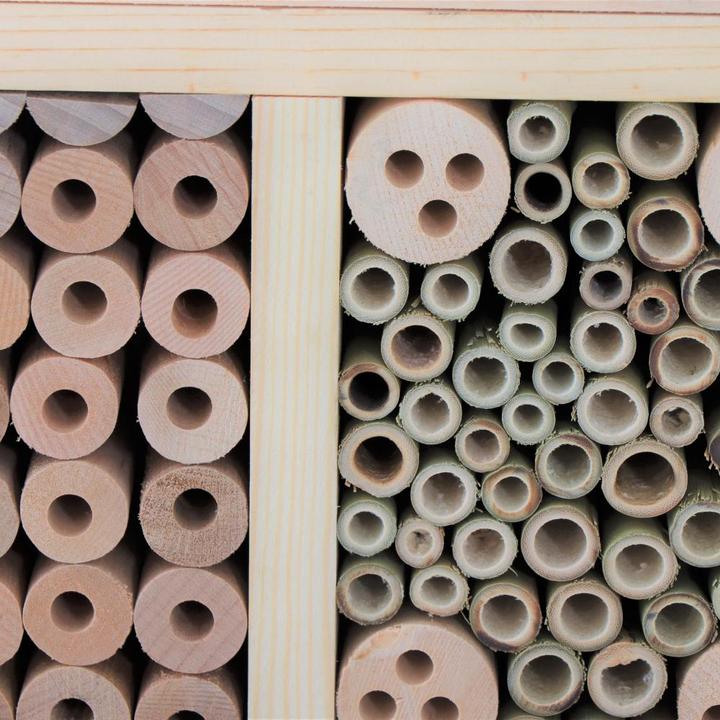 Actual product image Siena Garden Bee house (Butterflies, Bee)