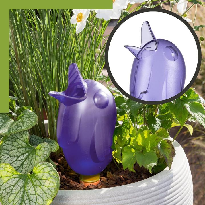 Actual product image Scheurich Water dispenser Bördy XL | 2 x purple | 220ml filling capacity | Watering ball large with clay base (Irrigation balls)