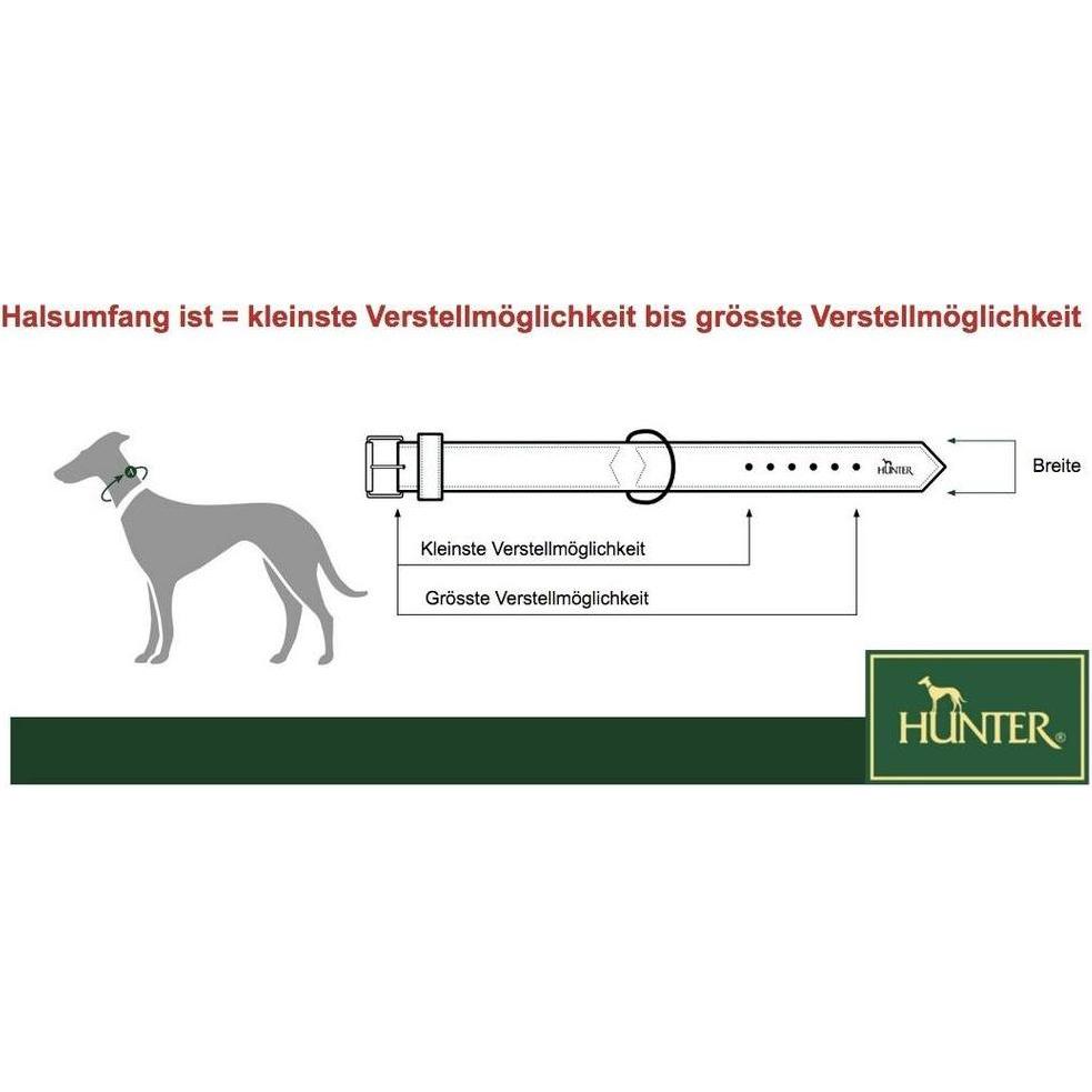 Thumbnail - Hunter Halsband Vario Plus NeoprenNylon (Hund, Allgemein), Halsband + Leine