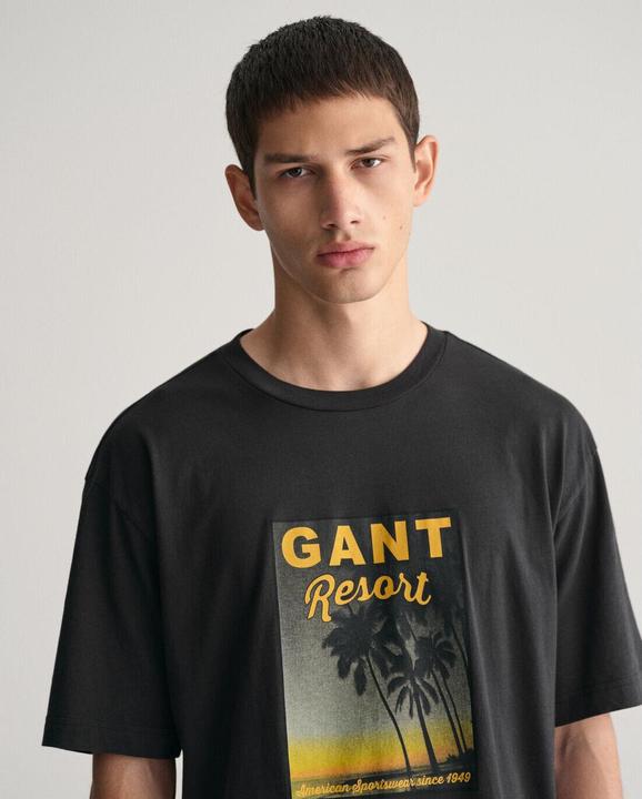 Actual product image GANT t-shirt washed graphic (M)