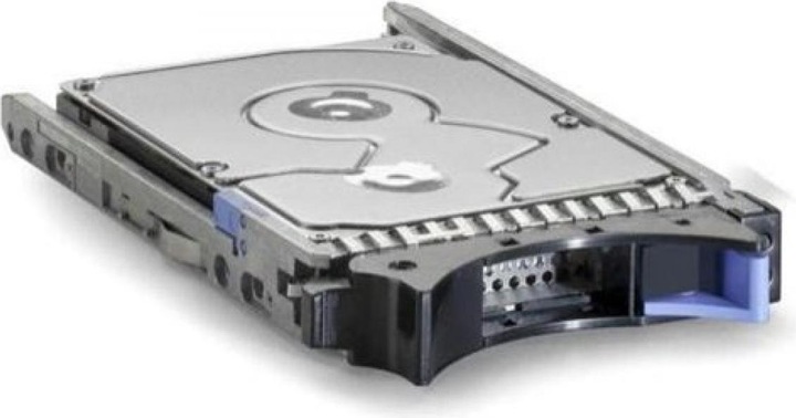 IBM 900GB 10K 2.5-inch HDD (0.90 TB, 2.5")