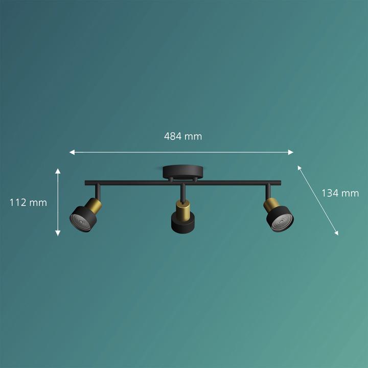 Produktbild Philips Conduit (GU10)