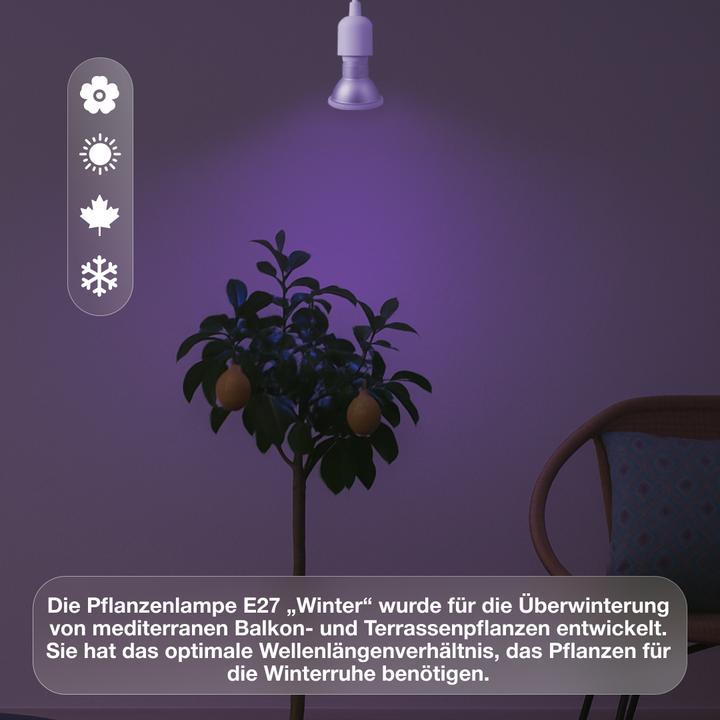 Produktbild Venso E27 Pflanzenlampe "Winter" 7W 120° (LED, 100 V)