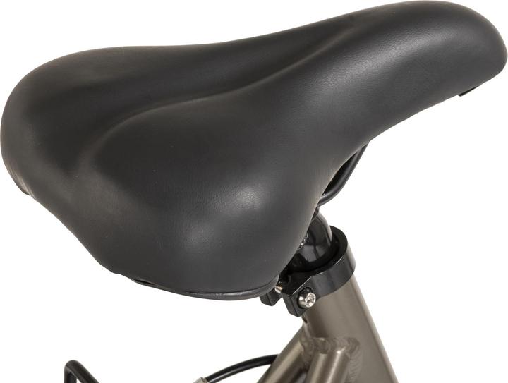 Produktbild Trekkingrad Damen 28" Metropolis Anthrazit 21 Gänge RH 53 cm (53 cm)