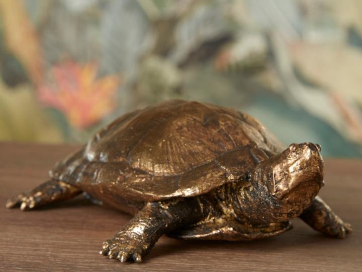 Immagine prodotto Werner Voss Tartaruga