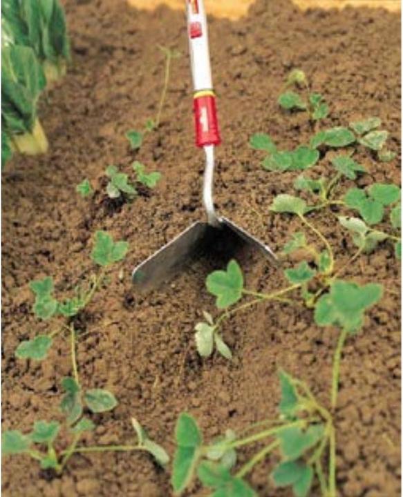 Actual product image Wolf-Garten YES-M 20 Frequenters