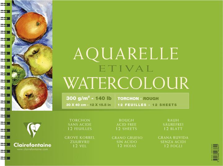 Image du produit Clairefontaine Techniques humides (300 g/m², 20 x)
