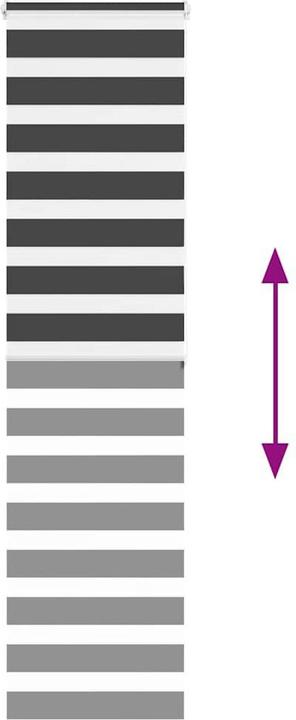 Produktbild vidaXL Zebra-Jalousie (60 x 200 cm)