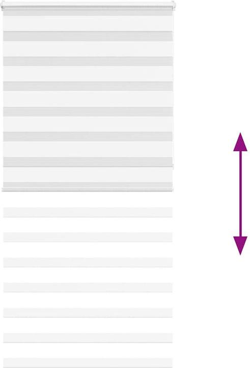 Produktbild vidaXL Zebra-Jalousie (115 x 230 cm)