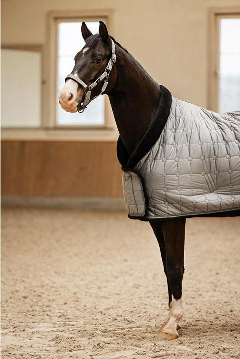 Produktbild BR Equestrian Equipment Clx (195 cm)