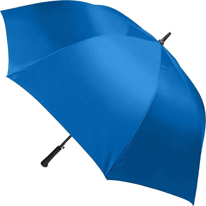 Bleu roi
