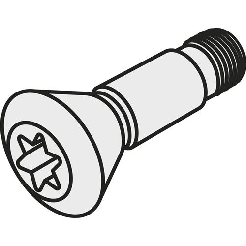Pramet, Accessori per macchine, Vite con inserto indicizzabile ISO CS 4008-T15P Peso lordo 0,7g