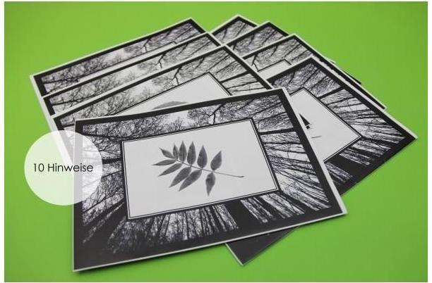 Immagine prodotto Parameter B PARPB005 - Mangia o muori - gioco della cena con delitto, per 4 giocatori, da 16 anni (edizione DE) (Tedesco)