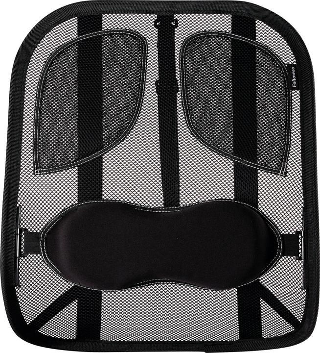 Image du produit Fellowes Soutien professionnel du dos