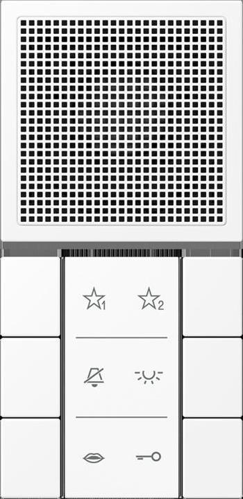Actual product image JUNG Audio indoor station (Wireless)