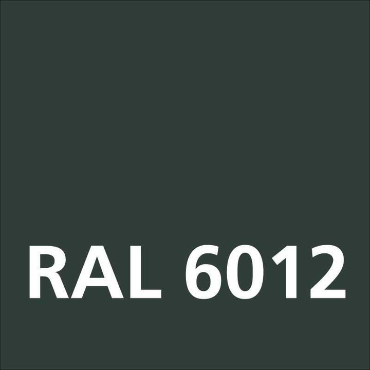 Immagine prodotto Dupli-Color Lacca acrilica lucida RAL 6012 verde nero (Nero verde, 0.40 l)