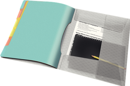 Image du produit Esselte Colour'Ice (A4, 1 x)