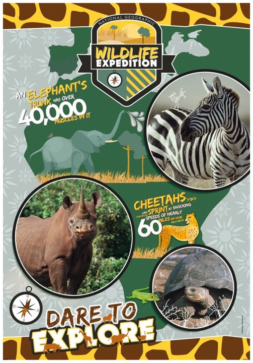 Produktbild Clementoni Puzzle Wildlife Expedition Teile (180 Teile)