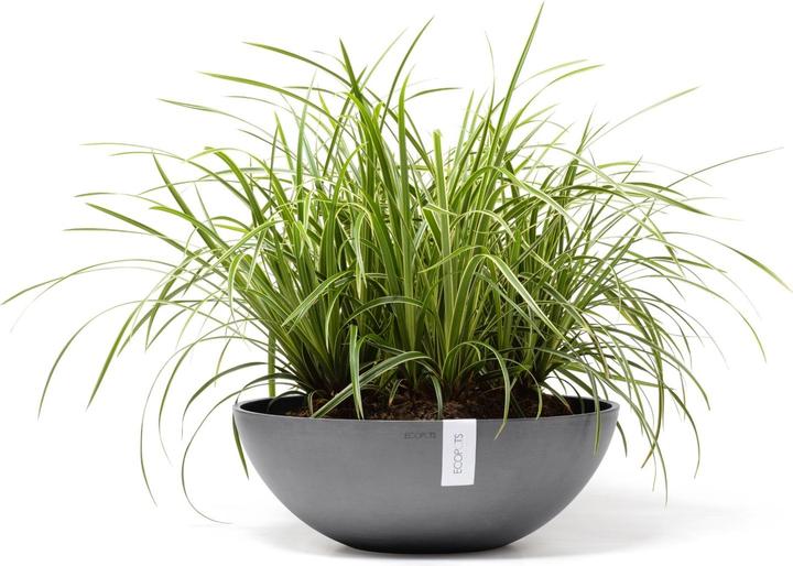 Produktbild Ecopots Vienna (50 cm)