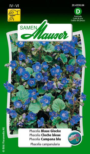 Produktbild Samen Mauser Phacelia Blaue Glocke (Blumensamen)