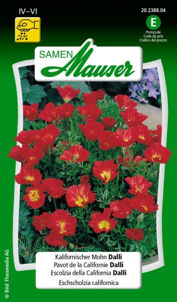 Produktbild Samen Mauser Kalifornischer Mohn Dalli (Blumensamen)
