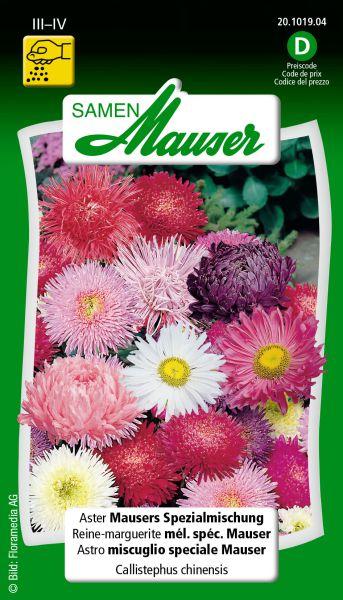 Produktbild Samen Mauser Aster Mauser's Spezialmischung (Blumensamen)