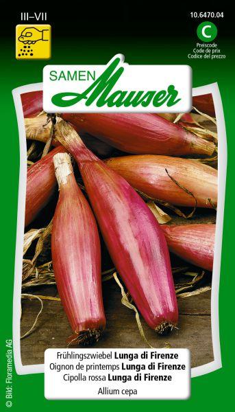 Actual product image Samen Mauser Spring onion Lunga di Firenze (Flower bulbs)