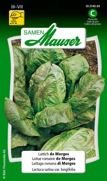Image du produit Samen Mauser Lattich de Morges (Graines de légumes)