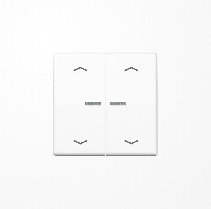 Actual product image JUNG BTAS17102PWW HOME Push-button 2gang