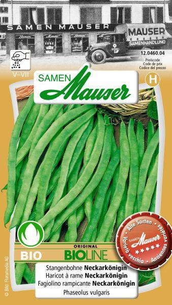 Actual product image Samen Mauser Bud organic runner bean Neckarkönigin (Vegetable seeds)