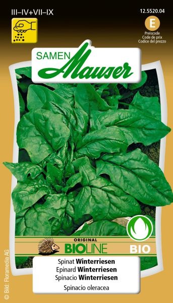 Image du produit Samen Mauser Bourgeon d'épinards biologiques Géant d'hiver (Graines de légumes)