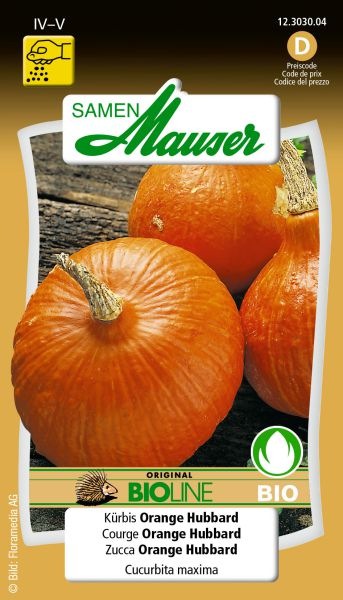 Actual product image Samen Mauser Organic Orange Hubbard Pumpkin (Vegetable seeds)