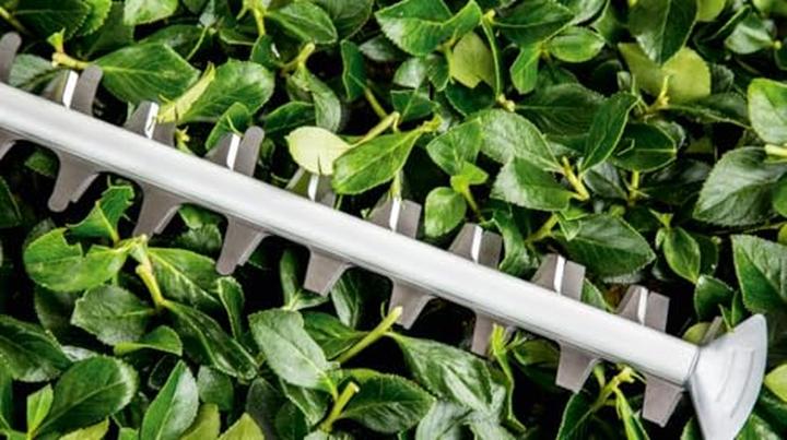 Produktbild Bosch Home & Garden UniversalHedgeCut 60 (Netzbetrieb)