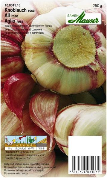 Samen Mauser Knoblauch (Blumenzwiebeln)