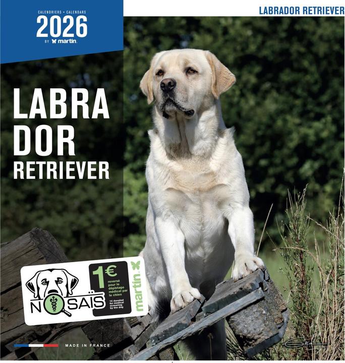 Produktbild Martin Sellier Labrador