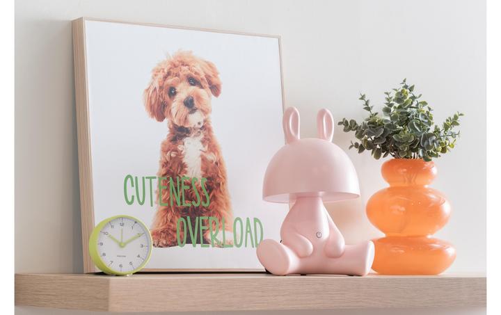 Immagine prodotto Karlsson Sveglia classica Circus Rings Matcha verde