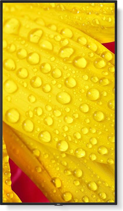 Image du produit NEC MultiSync ME551 (3840 x 2160 pixels, 55")