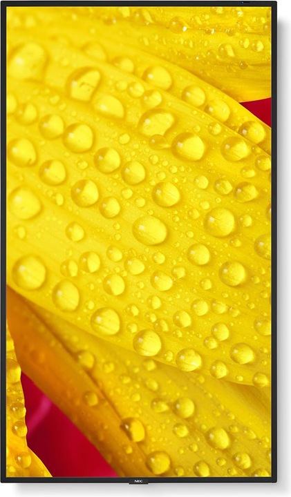 Immagine prodotto NEC MultiSync ME551 (3840 x 2160 pixel, 55")