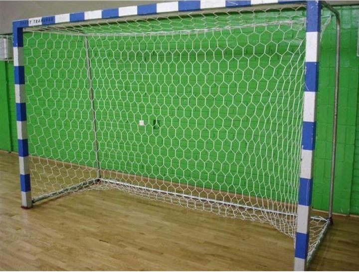 Actual product image Netex Tornetz 7,5x2,5x2x2 m (2er-Set)