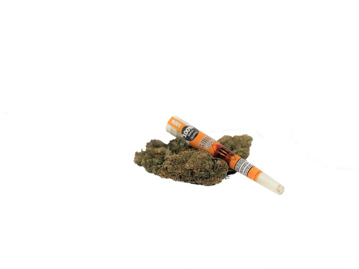 Produktbild Saido White Widow (1 g, Indoor)