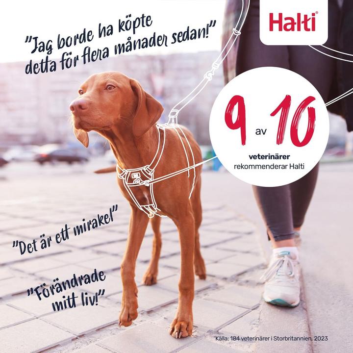 Actual product image Halti No Pull Harness Forest Green Small (Dog, General, Walks)