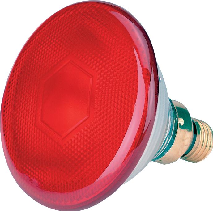 Actual product image Philips 22302 Economy lamp, 100 W, red (100 W)