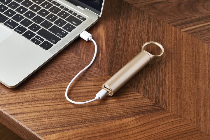 Productafbeelding Lexon Nomaday Power Bank (3000 mAh)