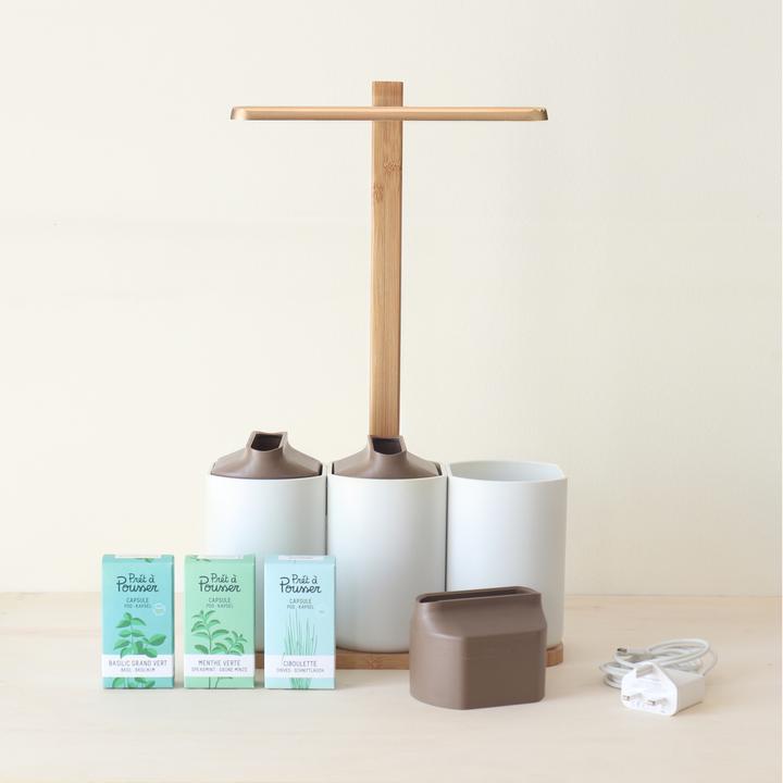 Image du produit Prêt à Pousser Édition Lilo (Graines d'herbes aromatiques)