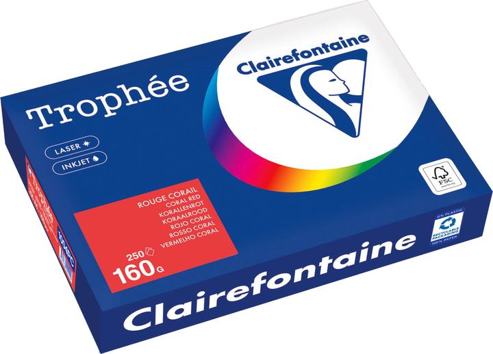 Immagine prodotto Clairefontaine Carta universale Trophée colorata (160 g/m², 250 x, A4)