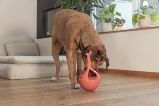 Actual product image Beeztees Rubber dog toy Wiggle-X (Dog chew toy)
