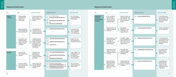 Actual product image Schüssler-Salze, Quickfinder (German, Guenther H. Heepen, 2018)