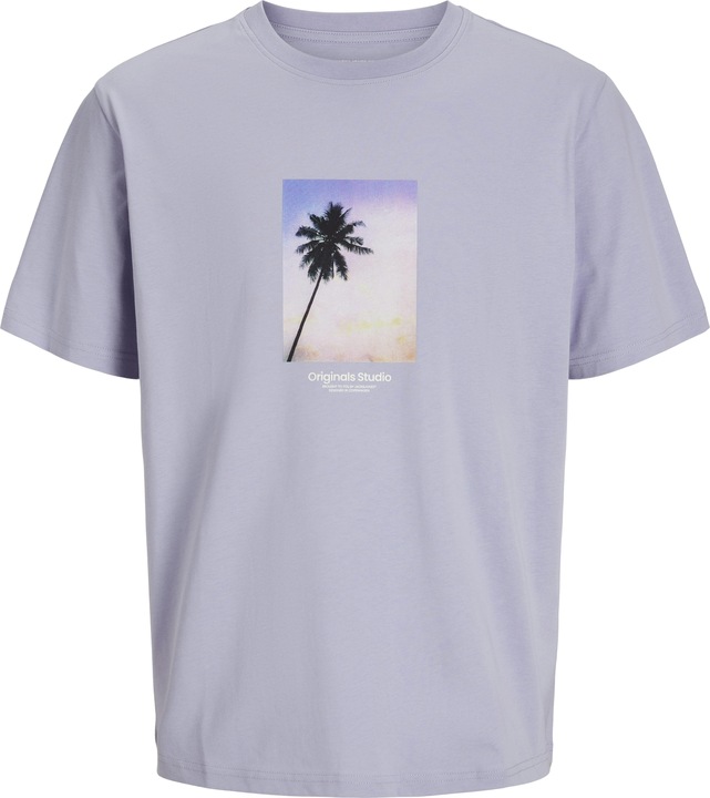 Jack & Jones Jorvesterbro Picture Tee Ss Crew Neck Sn (XXL)