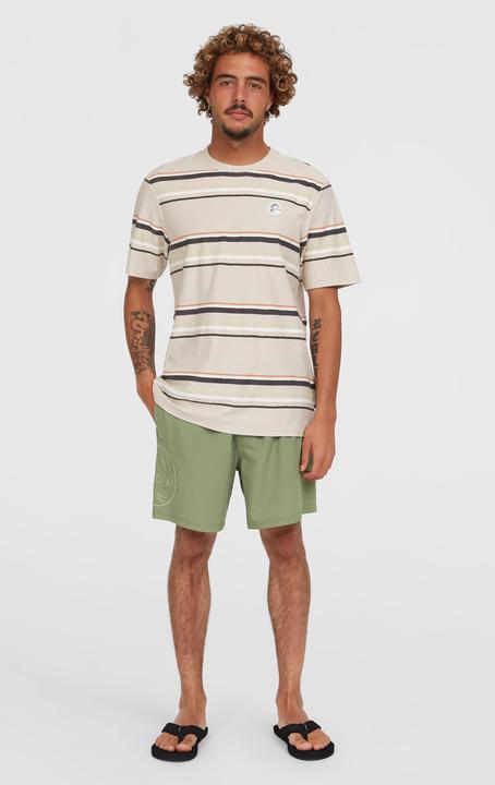 Actual product image O'Neill O'Riginals Cali Ocean 16" Swimshorts (XS)